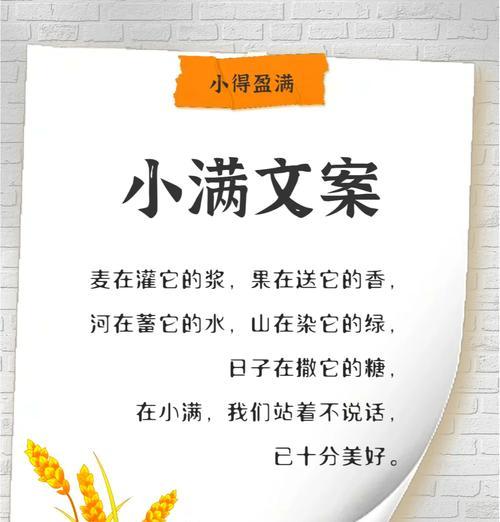关于小满的文案开头怎么写（《小满之颂：静待夏花绚烂时》）