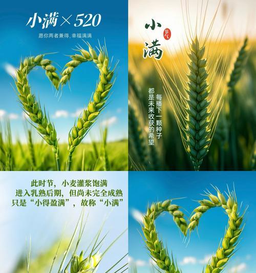 小满时节唯美句子有哪些？（《小满轻绘，墨色流年》）