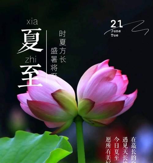 夏至早上发朋友圈的句子好句有哪些？（《夏至晨曦·古韵新颂》）