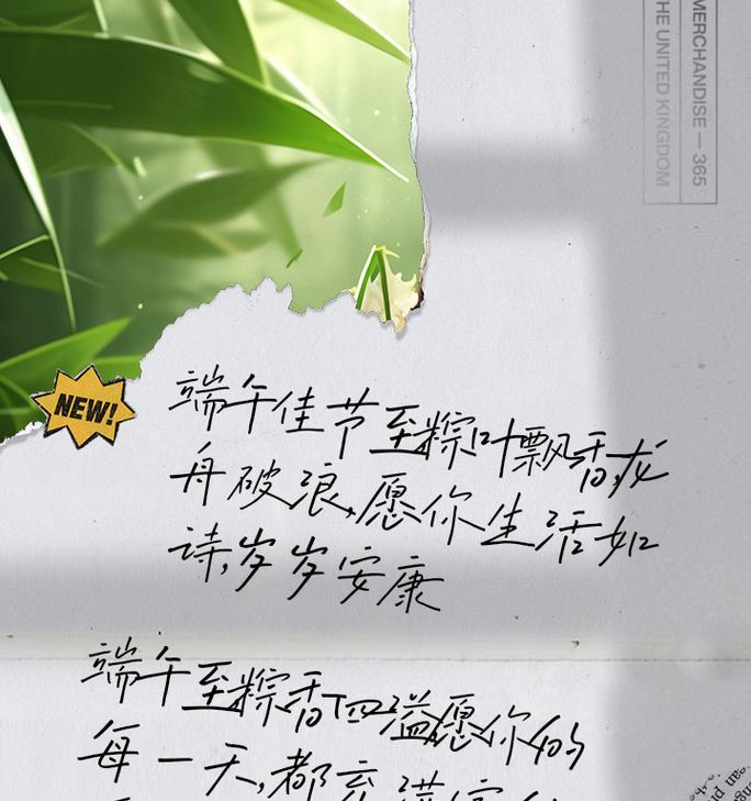 端午节延伸课程文案怎么写？（《龙舟水涨，粽香飘逸：端午节的诗意记忆》）