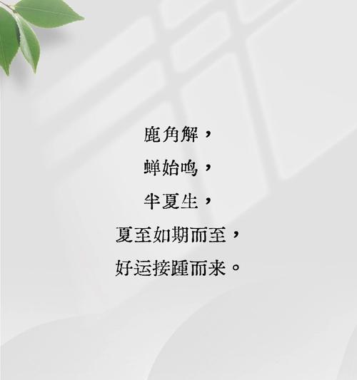 夏至友情文案怎么写？（《夏至情长，笔墨绘心声》）
