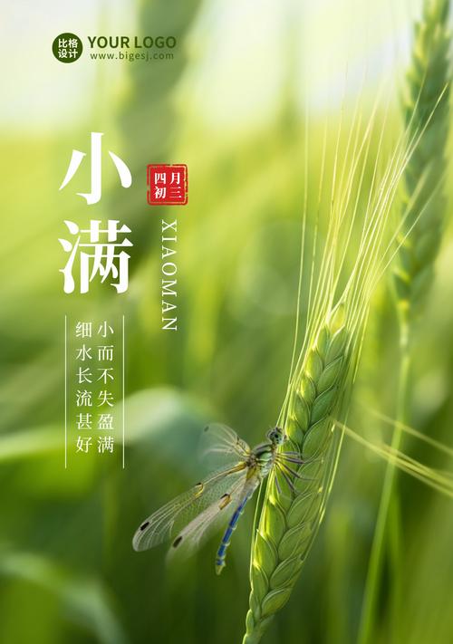 小麦小满是什么意思（《小满之时，麦香满溢》）