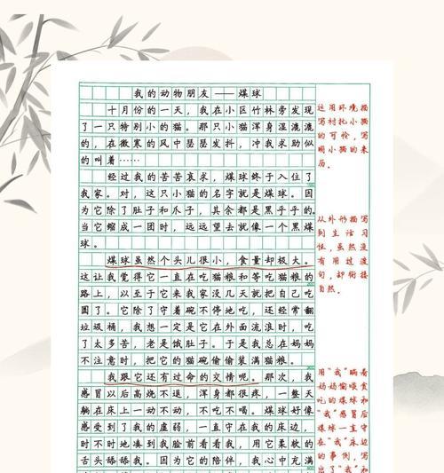 有关六一儿童节动物节作文的作文怎么写（《六一儿童节，童话世界的奇妙邂逅》）