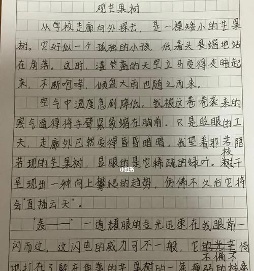 芒种作文600字记叙（《芒种时节的耕耘与梦想》）