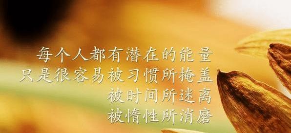 《沉淀岁月，领悟人生》
