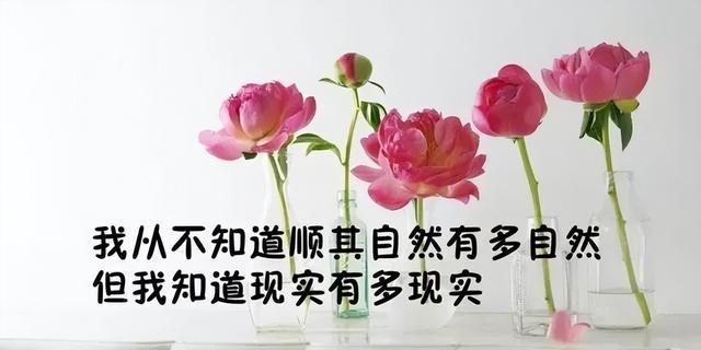 内心深处的疼痛，无法平复（内心深处的疼痛）