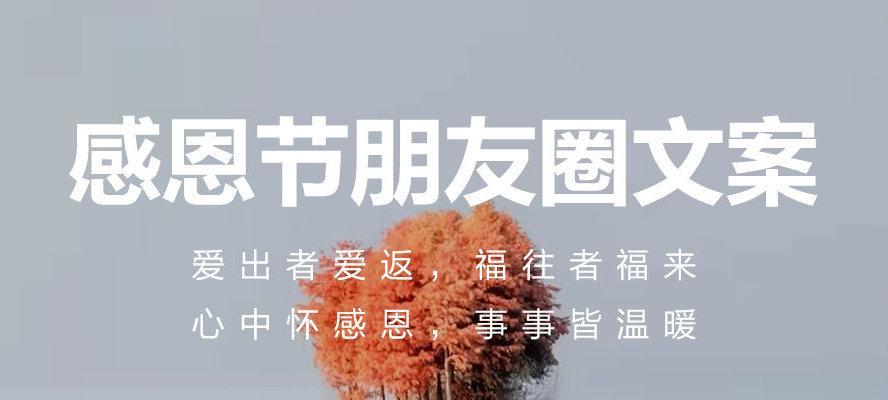 感恩节2024，感恩有你（25句唯美短句）