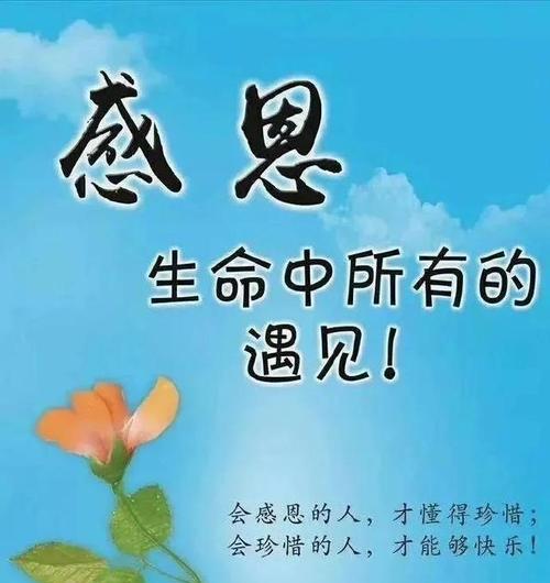 感恩亲情友谊，享受生活美好（感恩亲情友谊）