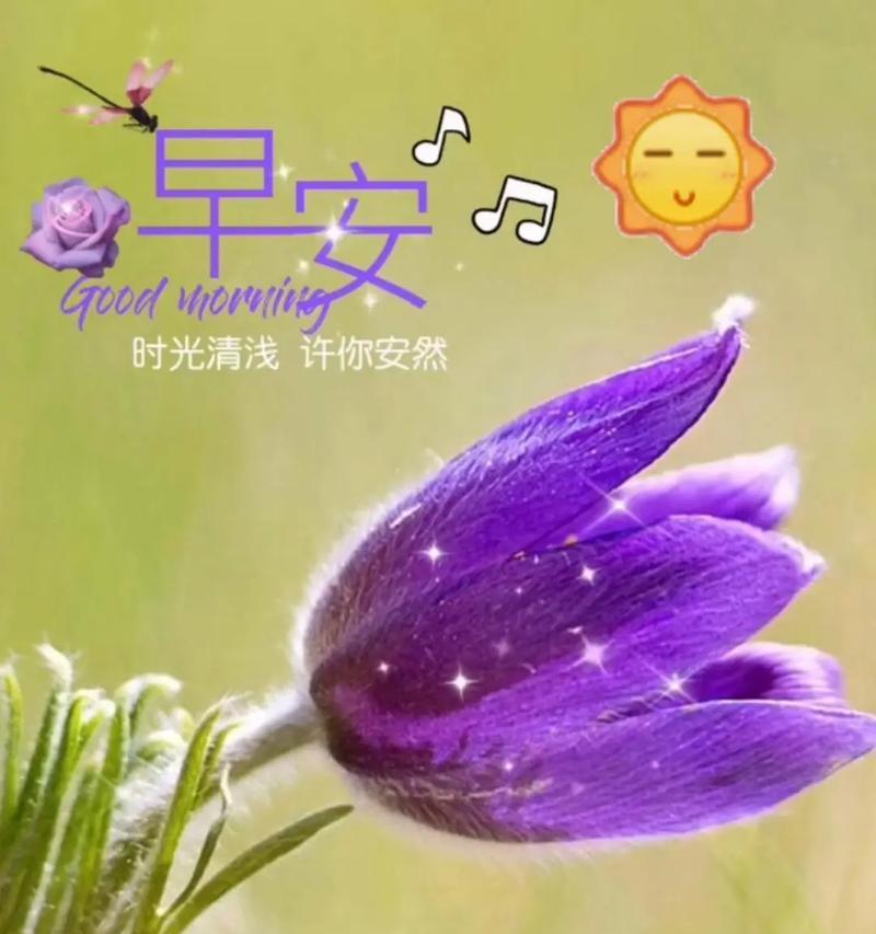 以抖音最火早安语录干净好听好句2024为主题的唯美短句集锦（以抖音最火早安语录干净好听好句2024为主题的唯美短句集锦）