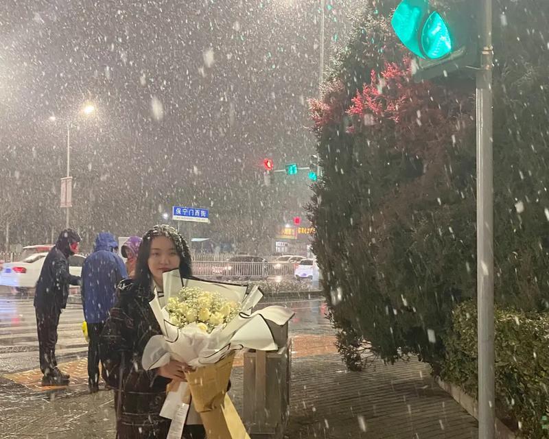 冬日美景（用短句记录雪花飘落的美丽瞬间）