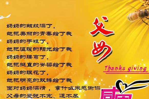用心感恩每一天；亲情是最美的礼物；珍惜时光，爱到永远（用心感恩每一天；亲情是最美的礼物；珍惜时光）