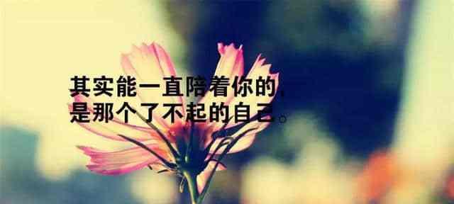 感动人心的励志句子（用唯美短句温暖心灵）