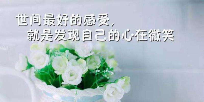 唤醒心灵，探寻生命的奥秘（唤醒心灵）