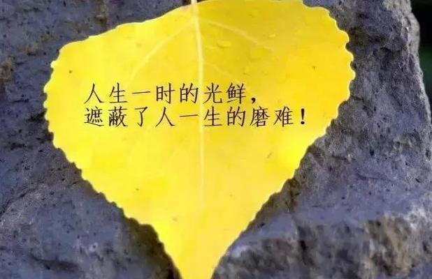 人生哲理，唯美短句（感情短句）