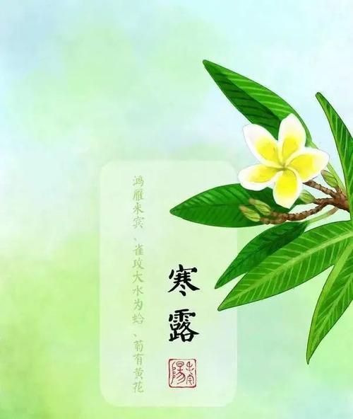 《寒露美丽祝福》