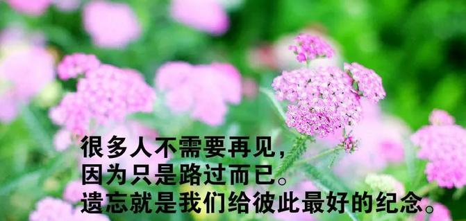 《二月初一，美丽的开始》