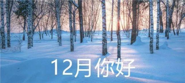 岁月更迭，11月与12月的交汇之美（以唯美短句为主）