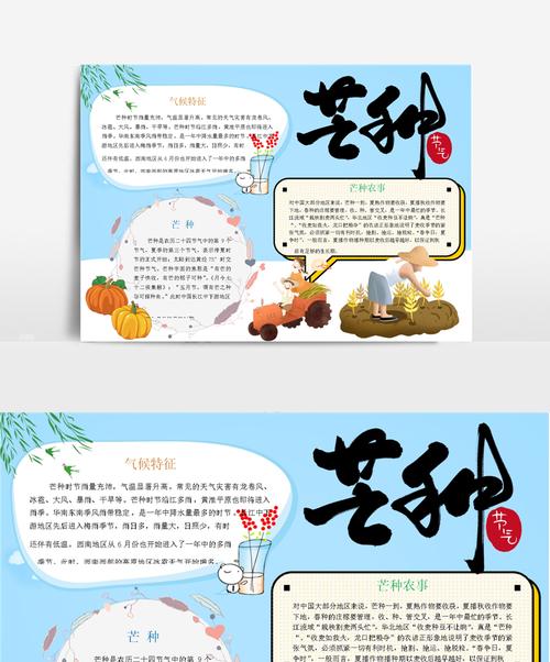 关于芒种的介绍（《芒种时节的青春篇章》）