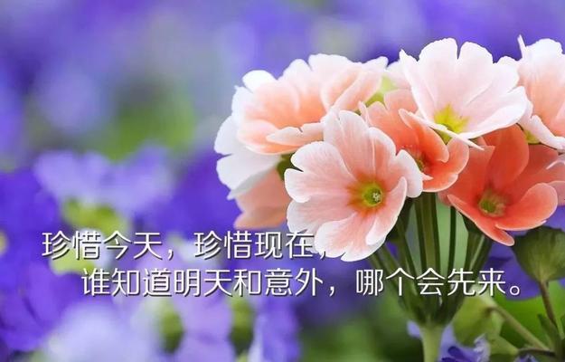 抖音短句（用句子说说）