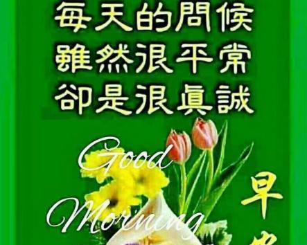 早安暖心祝福语，温暖你我他（分享25条唯美短句）