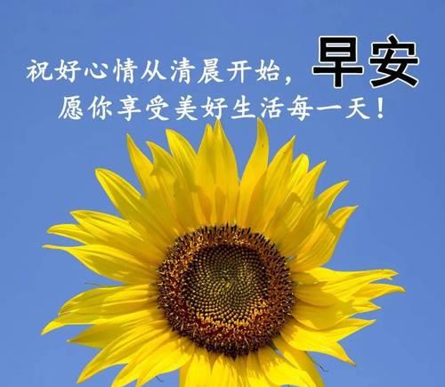 微信朋友圈早安暖心问候语，温暖你的心灵（用文字传递温馨关怀）