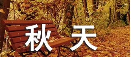 秋日雅韵：优美唯美描写秋天的短句