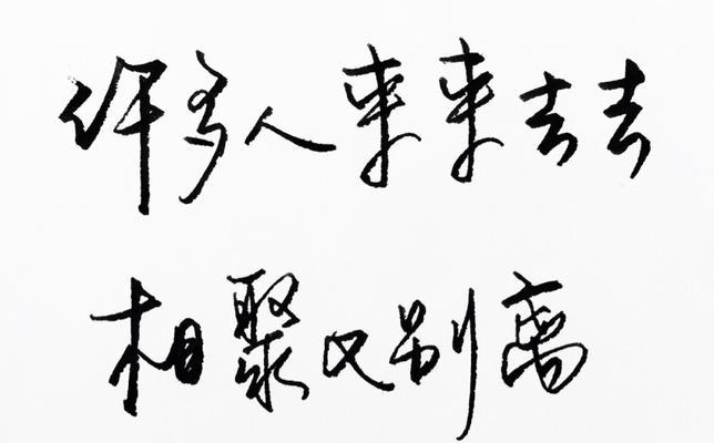 草书人生（临字如心）