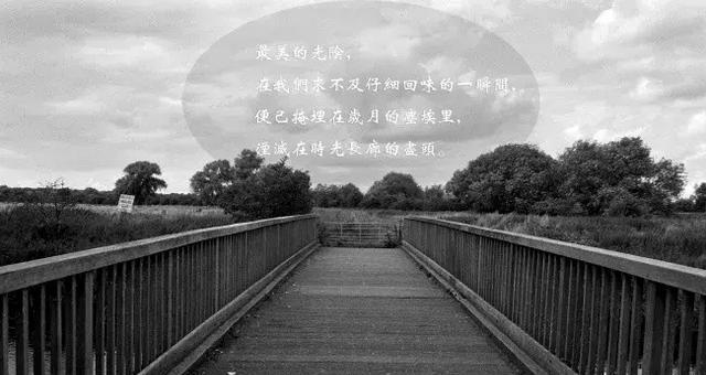 《离别如梦，唯美留香》