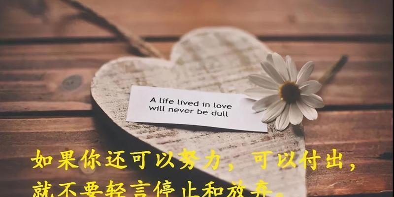 生活的美妙繁忙——以充实的生活为主题的唯美句子