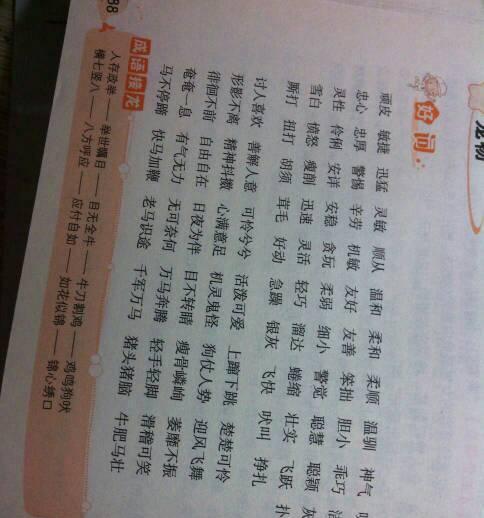 爱丽丝梦游仙境的奇妙世界（进入童话世界的惊喜与感动）