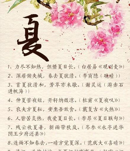 夏日之美（夏天的清新与浪漫）