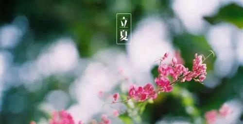 立夏的美丽与神秘（听风赏雨）