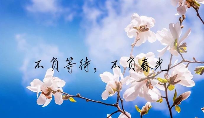 再见三月，你好二月（时光荏苒）