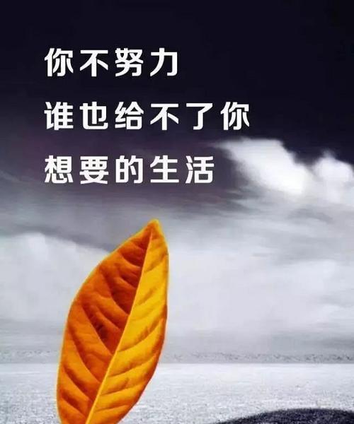 2024，我们一起加油！——中考励志朋友圈好句