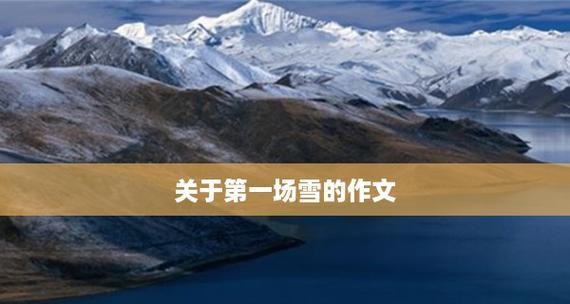 初雪飘落，冬日清幽（2024年初雪美景）