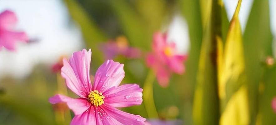 2024第一天的心情随笔（2024第一天的心情随笔）