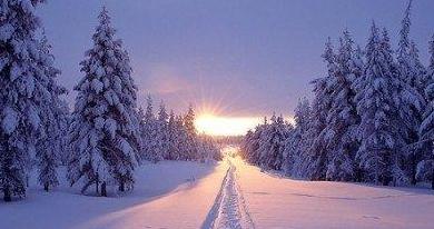 梦幻般的白色童话（梦幻般的白色童话）