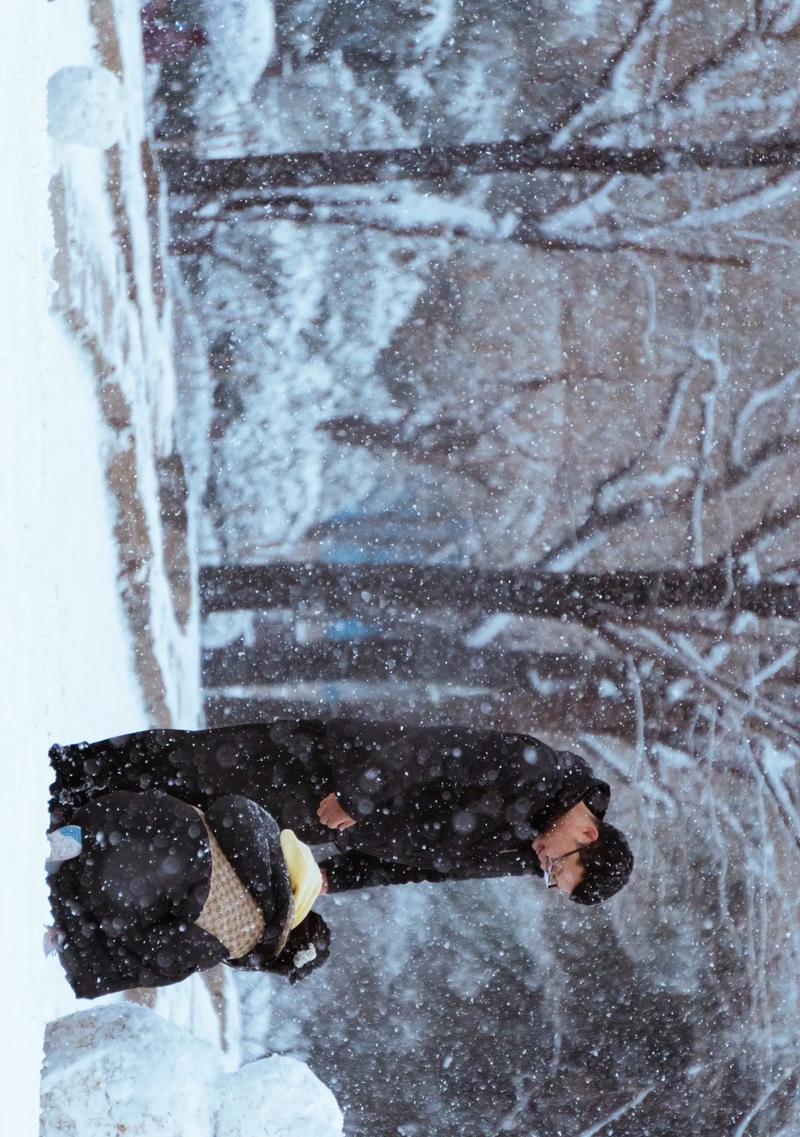 迎接雪的降临——2024年冬天第一场雪（赏雪）