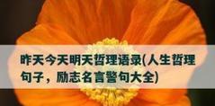 追寻人生的美好（追寻人生的美好）