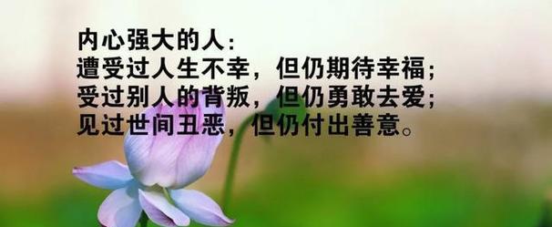 正能量是人生必须的能源（25个唯美短句让你拥有正能量）