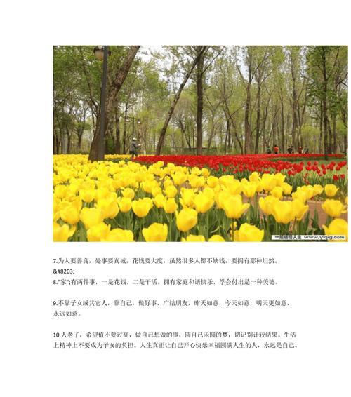 开心过好每一天，让人生更加美好（25个唯美短句）